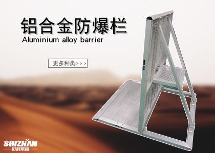 5G影院天天爽入口：安全之盾，守護平安